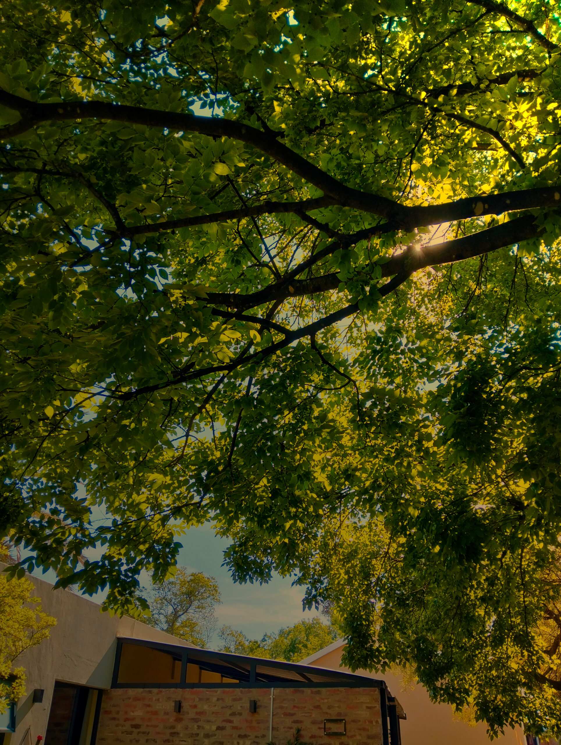 Villa Verde Potchefstroom, accommodation
